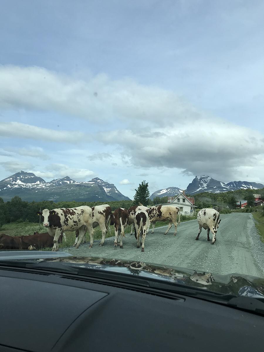 a road block