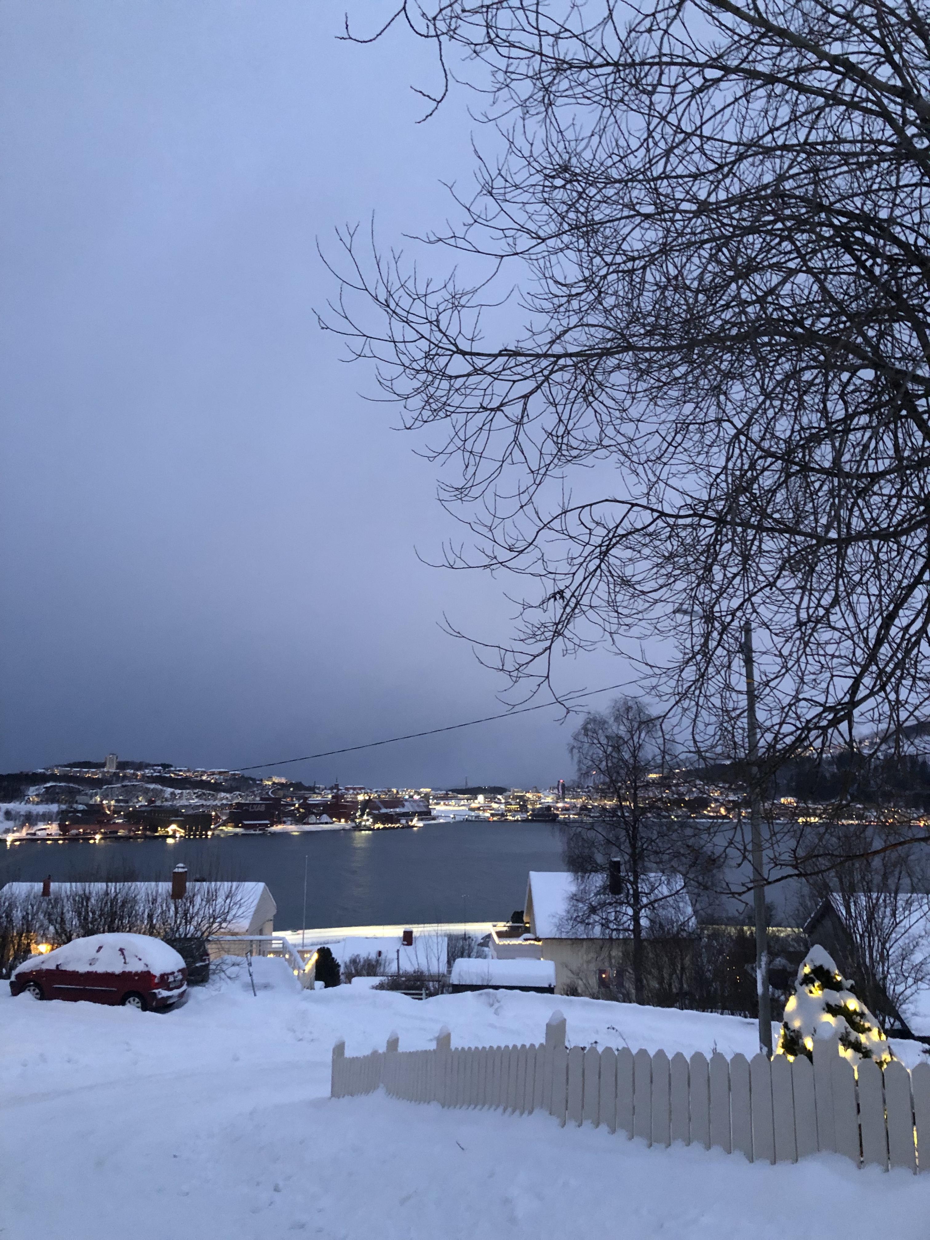 a christmas walk