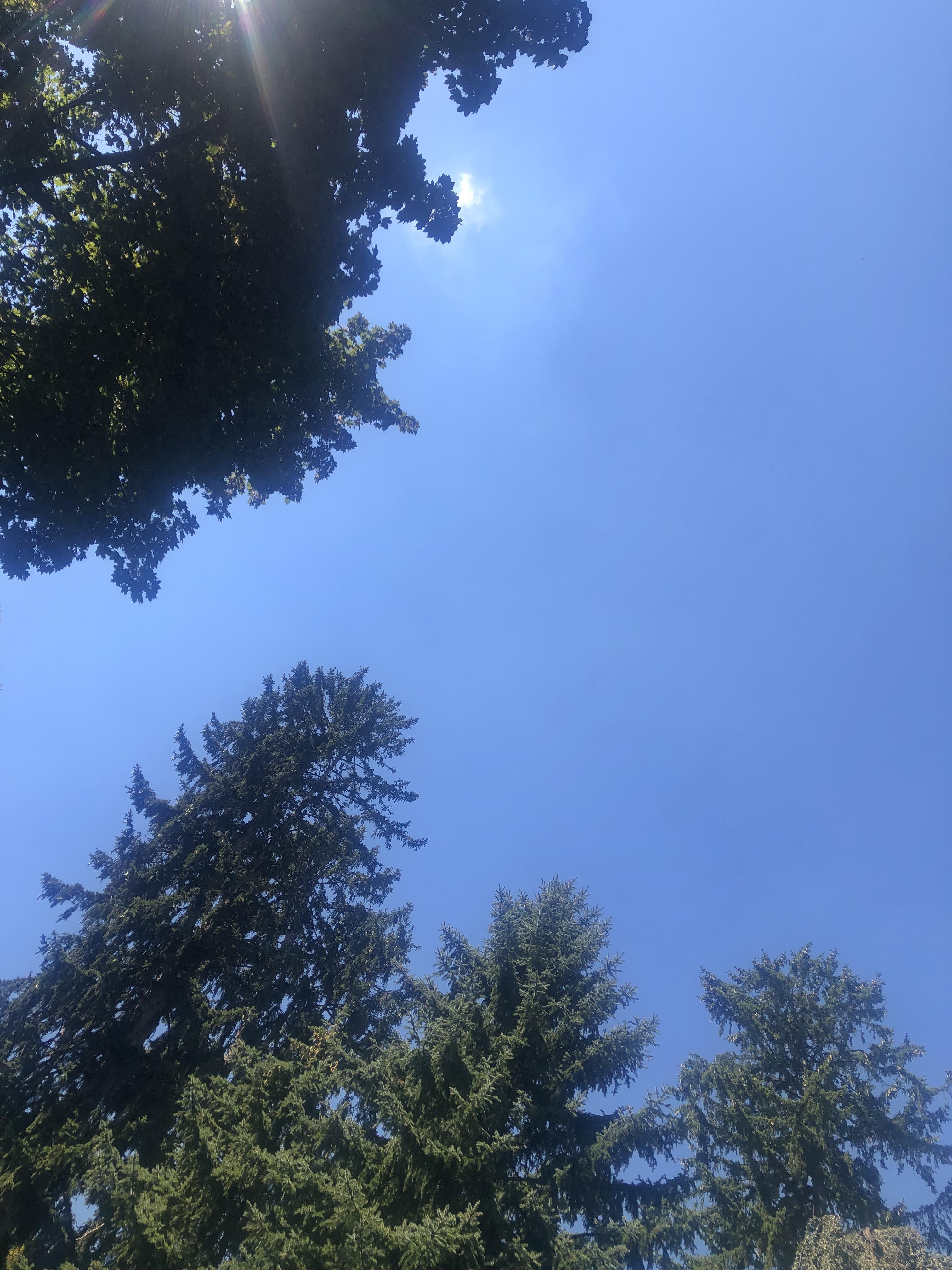 I watched the clouds disappear