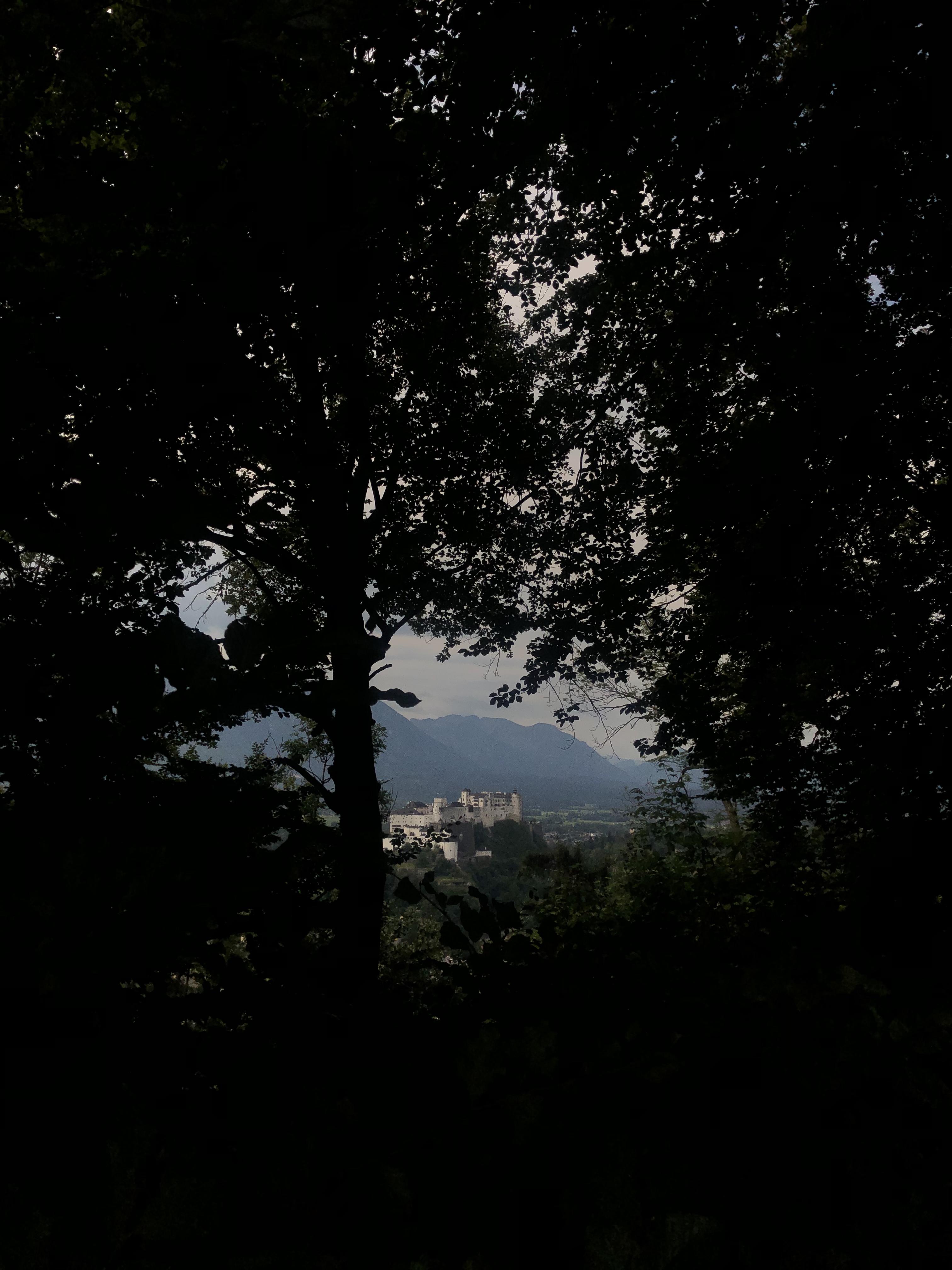 the view from kapuzinerberg