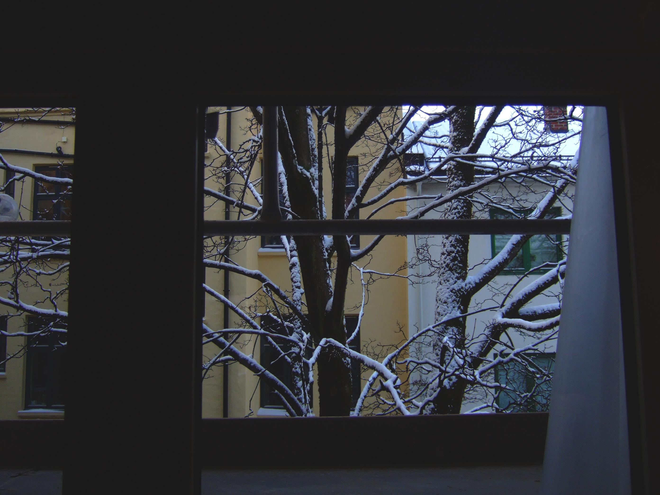 lovely winter construction work