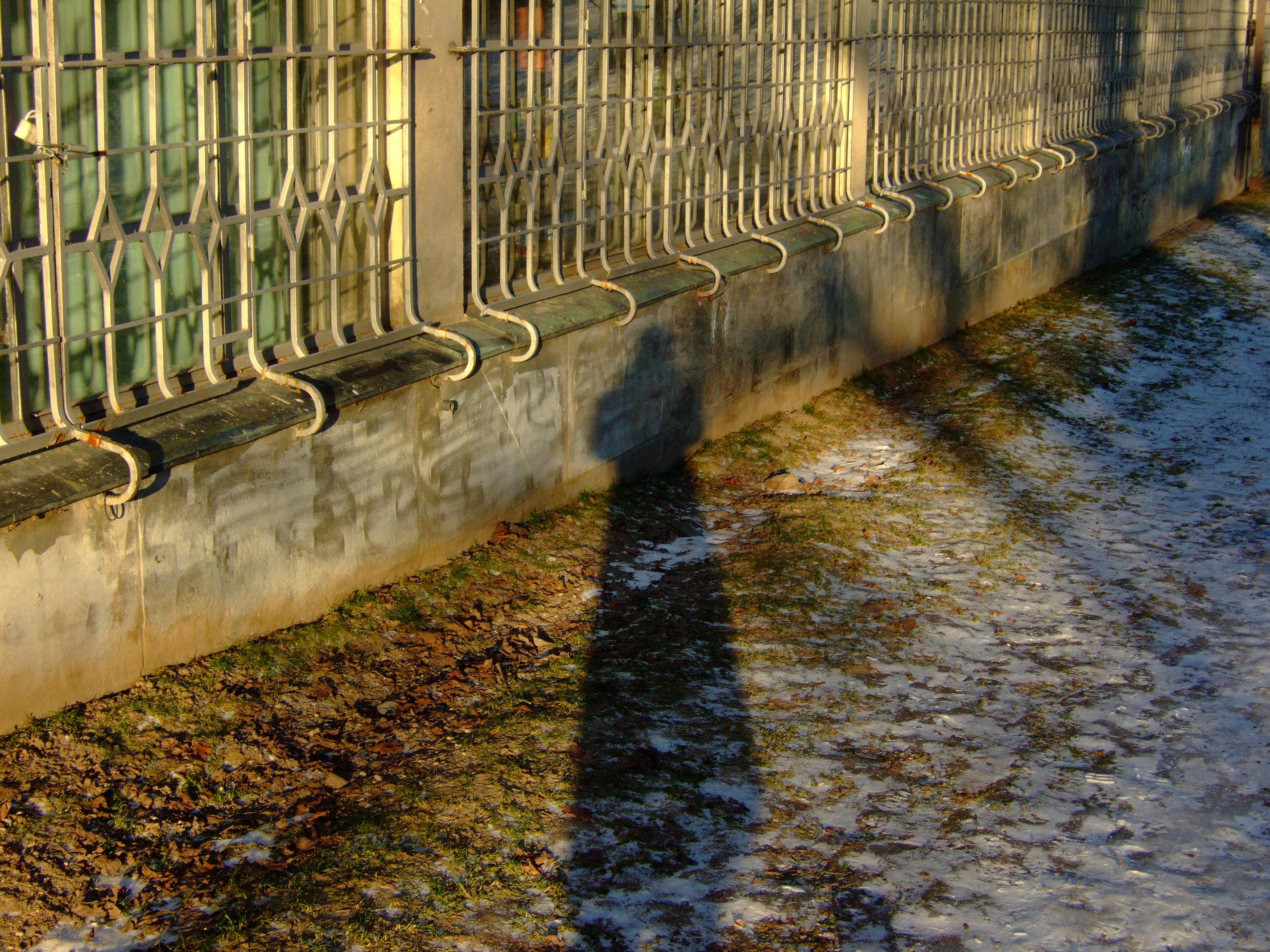 shadowing