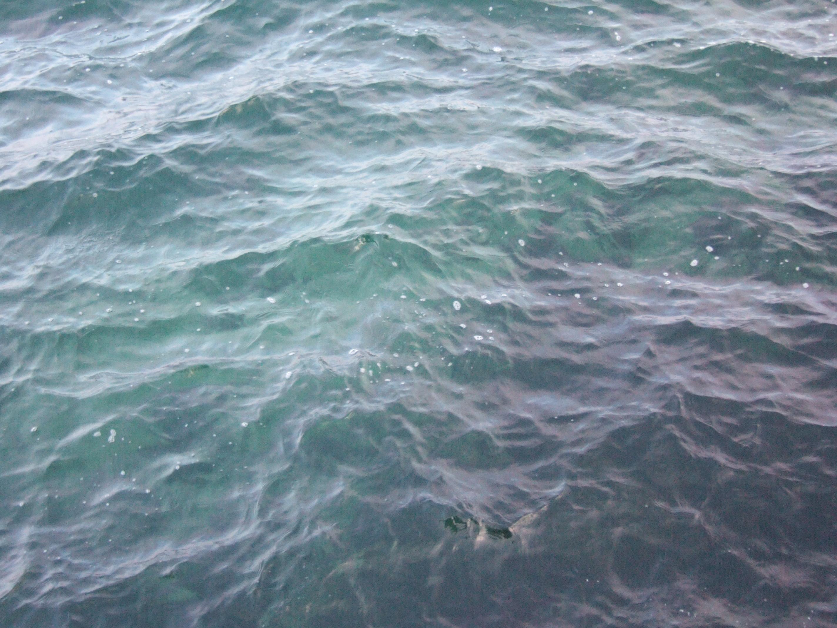 gentle waves