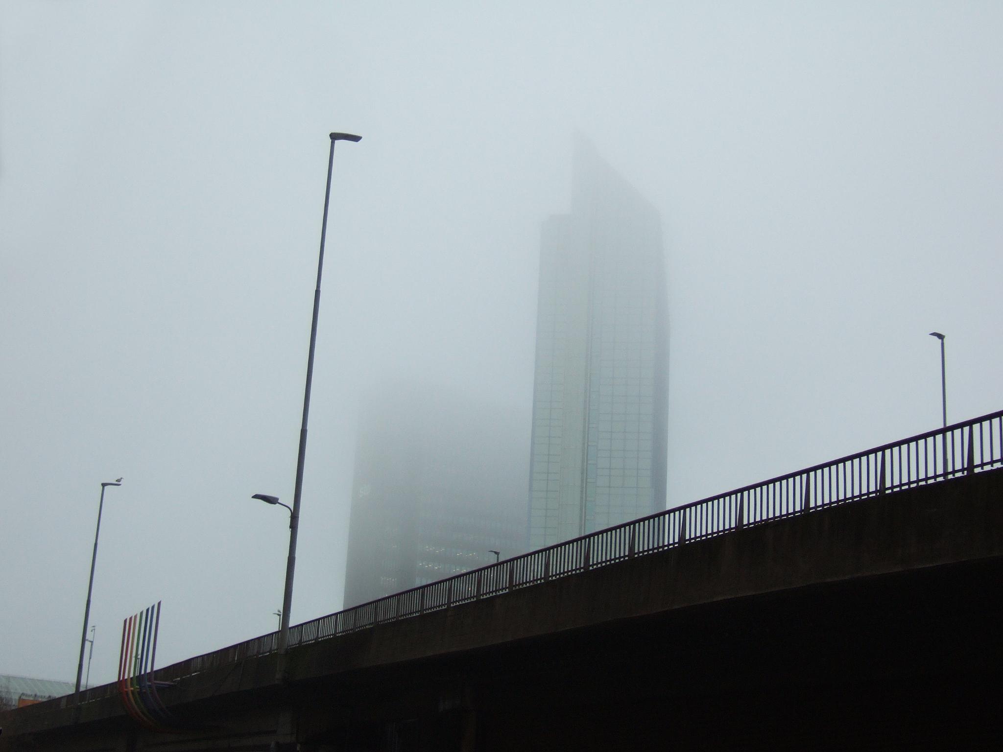 foggy plaza