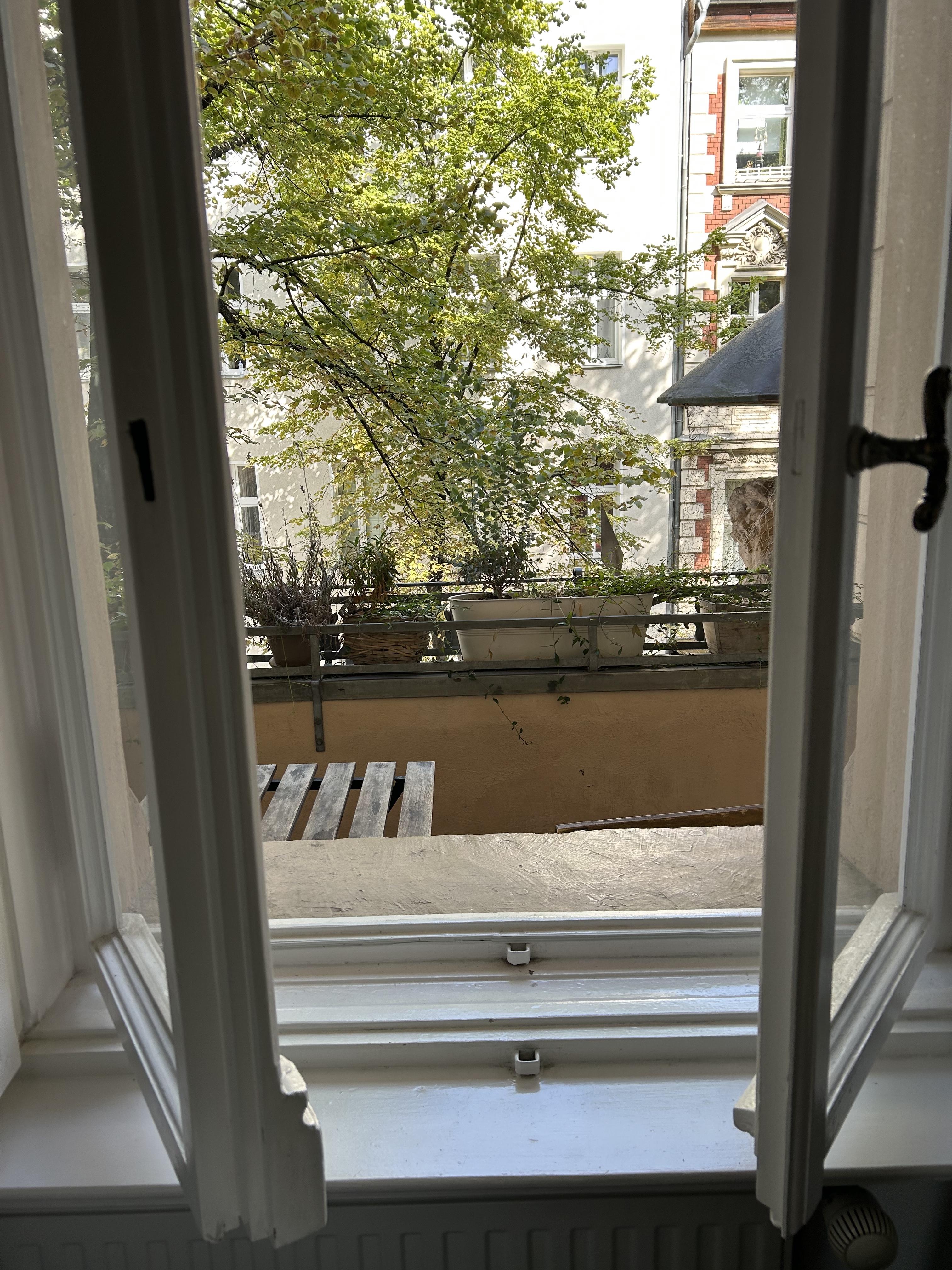 the view from her living room