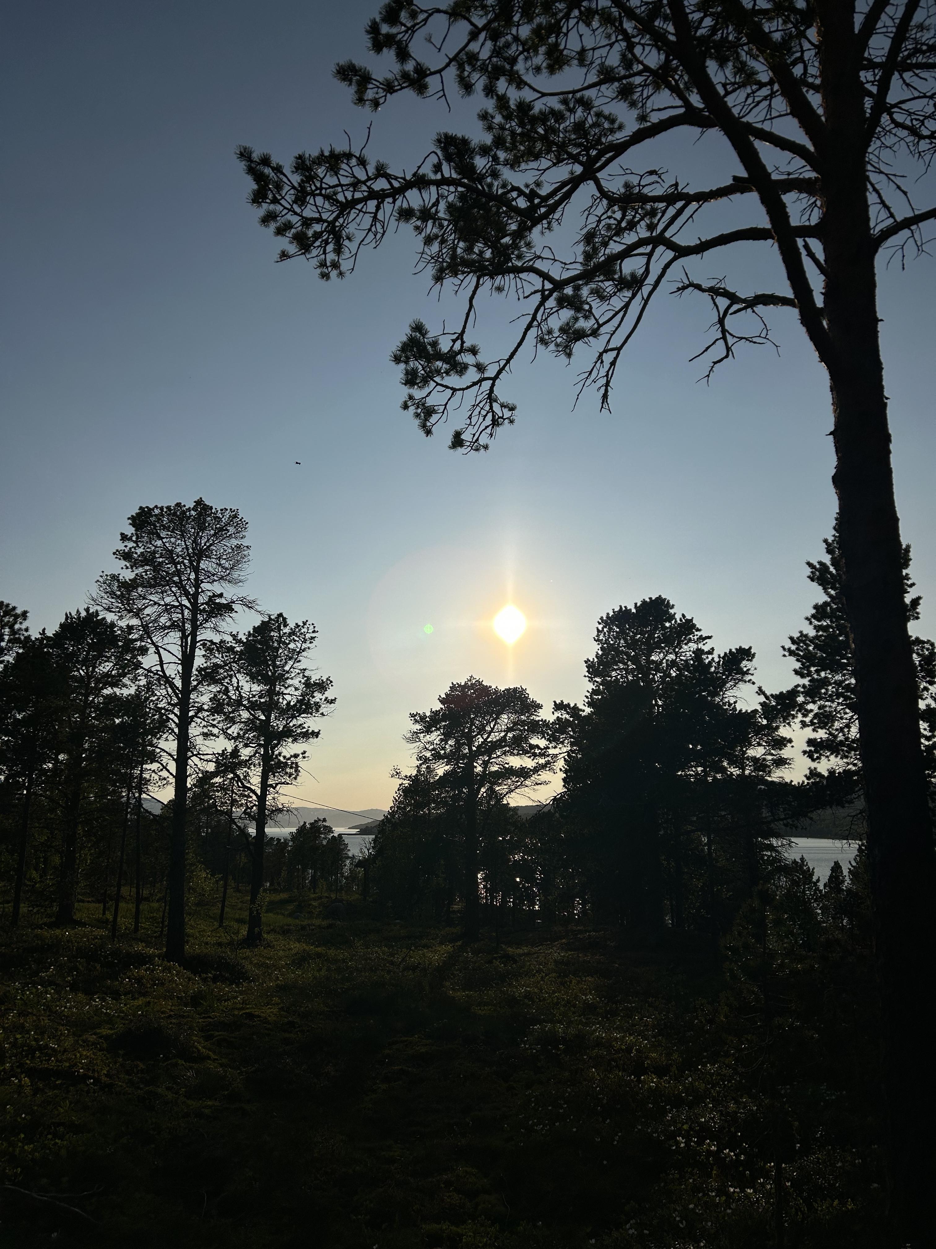 earlier the same evening