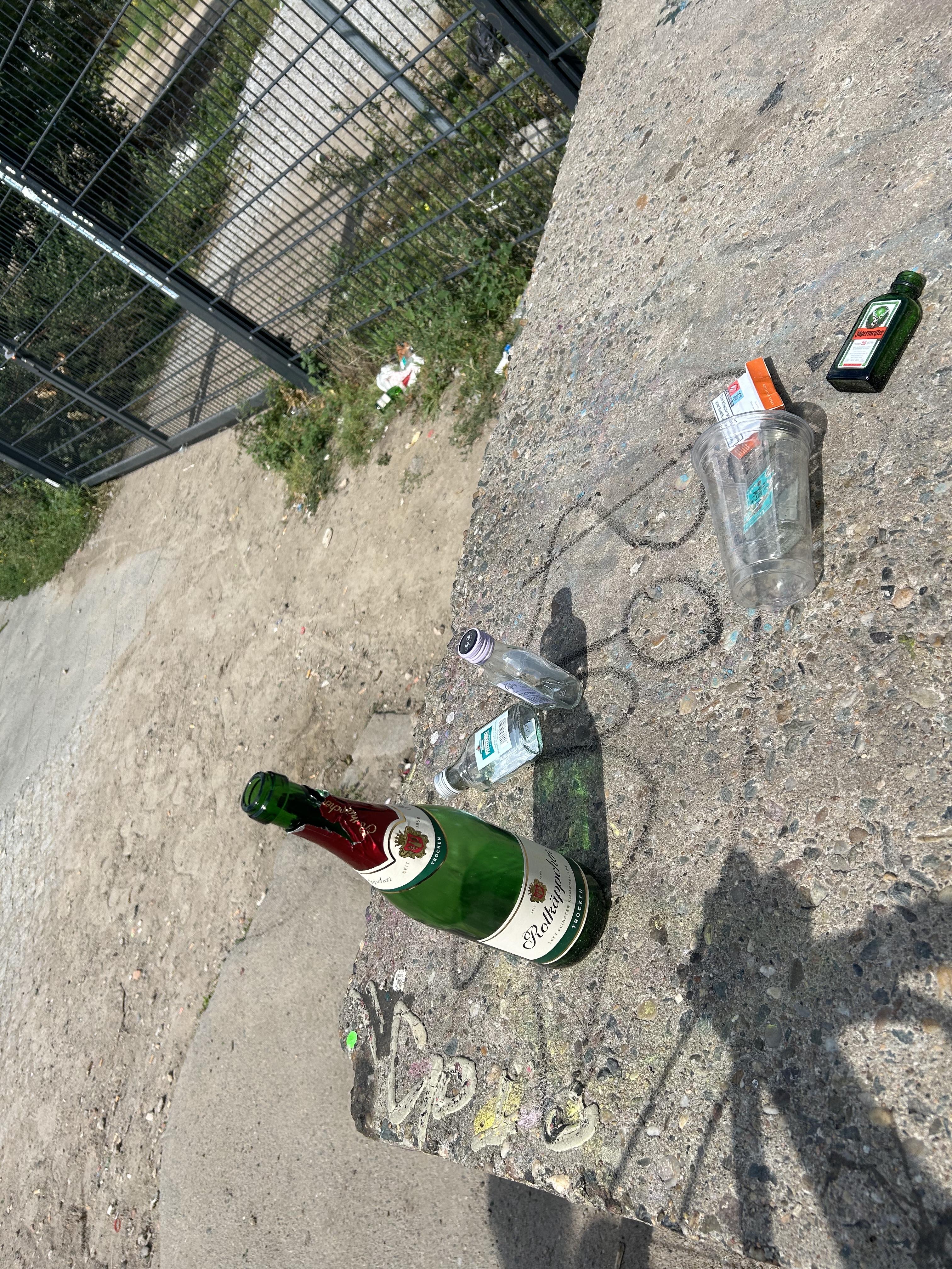 the morning after