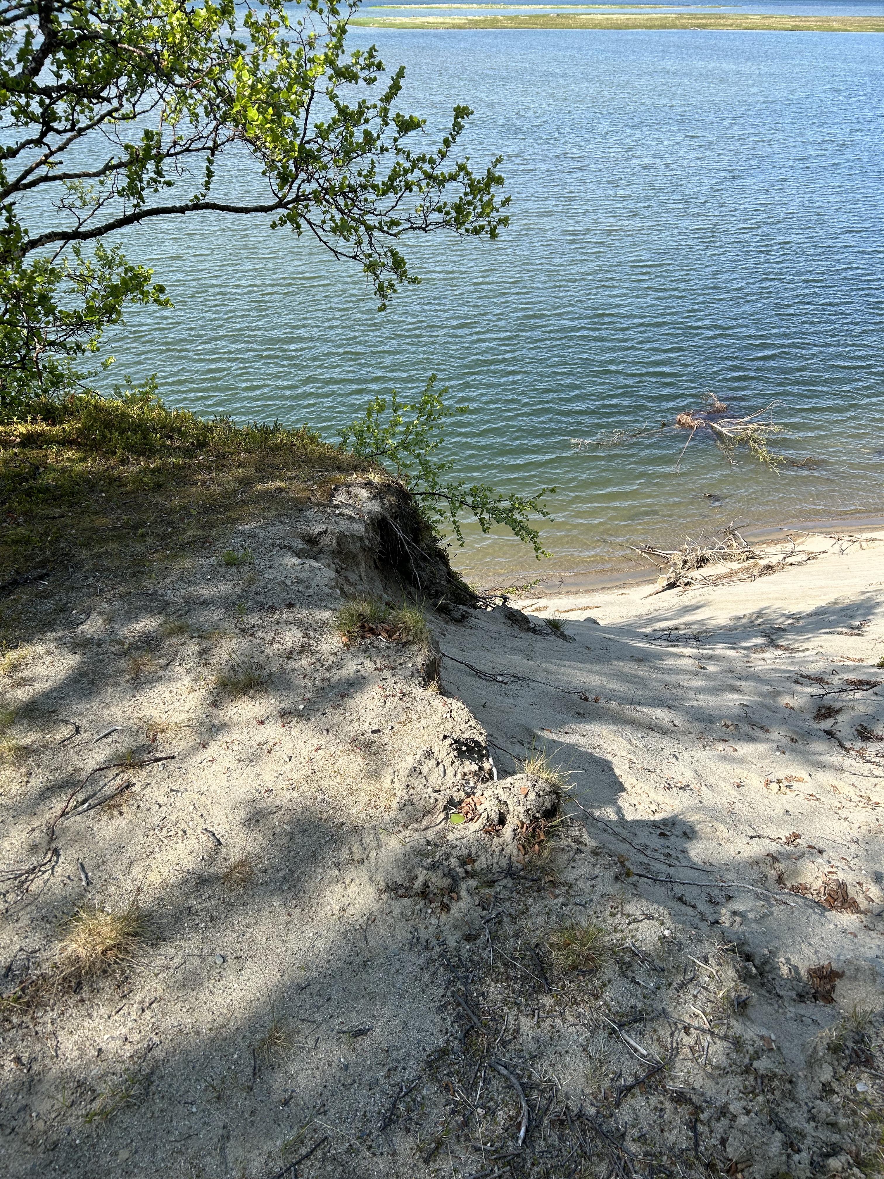 shadow on a beach