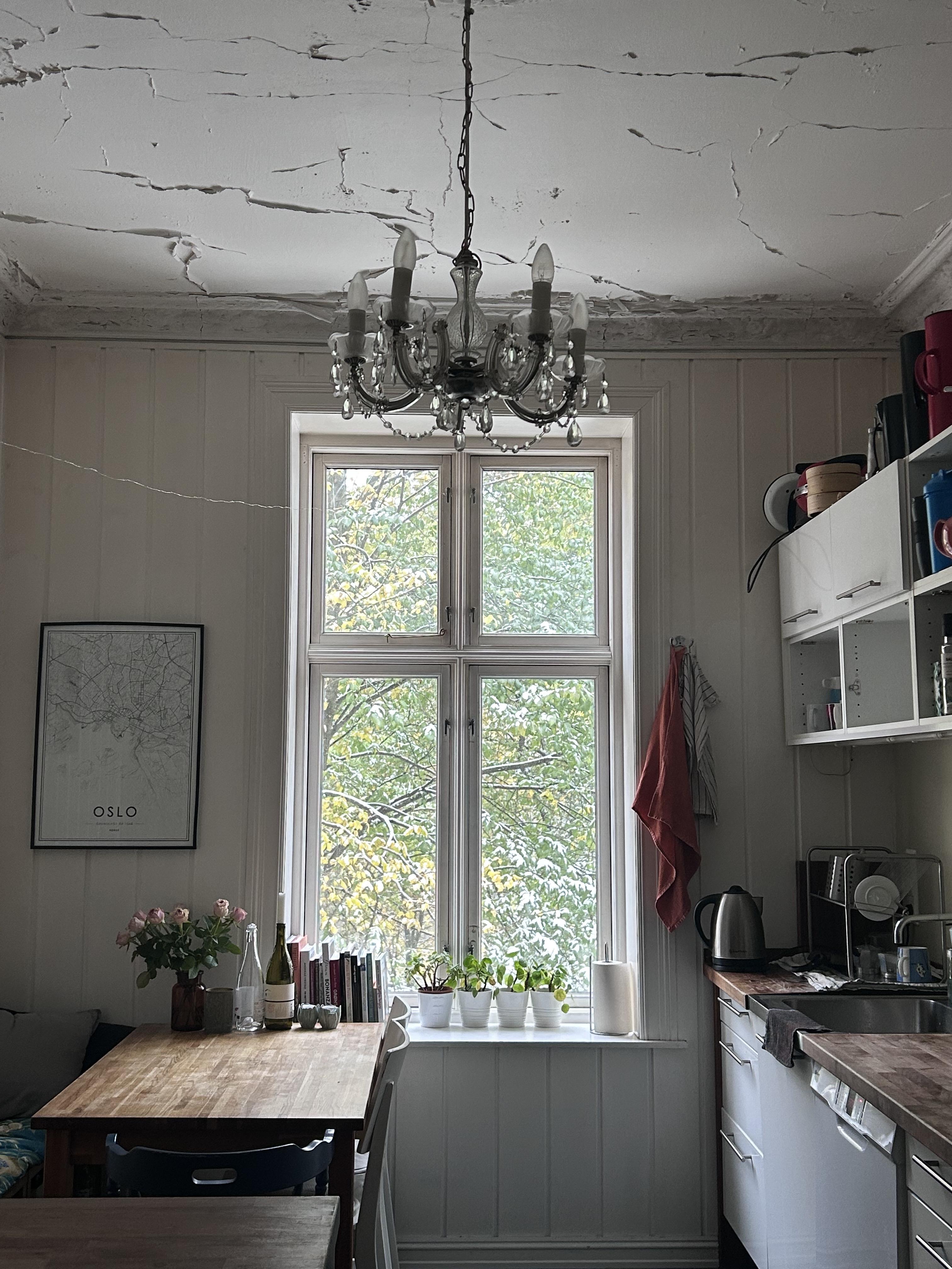 Kitchen view