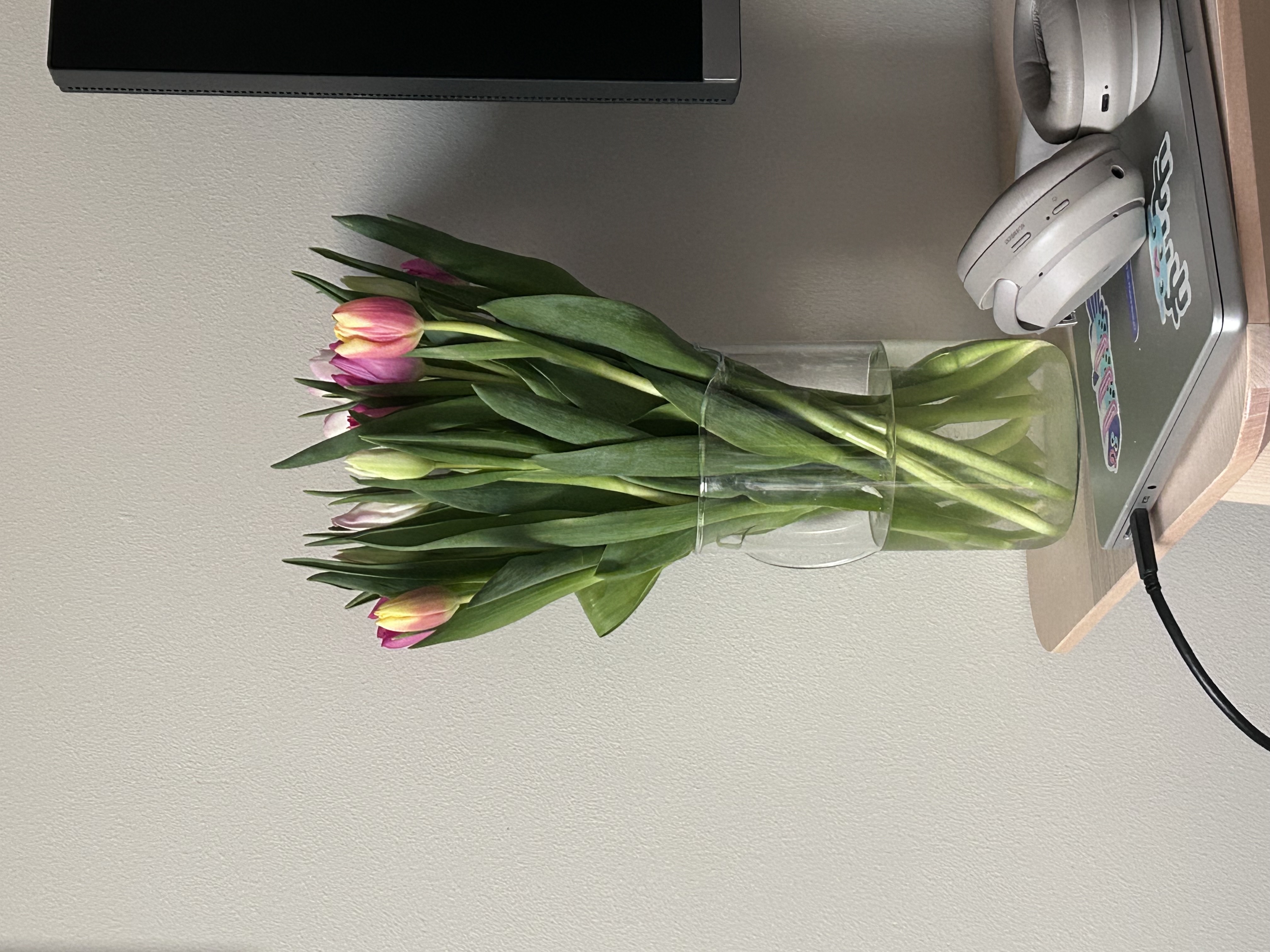 when I woke up the sun was setting and the tulips had blossomed