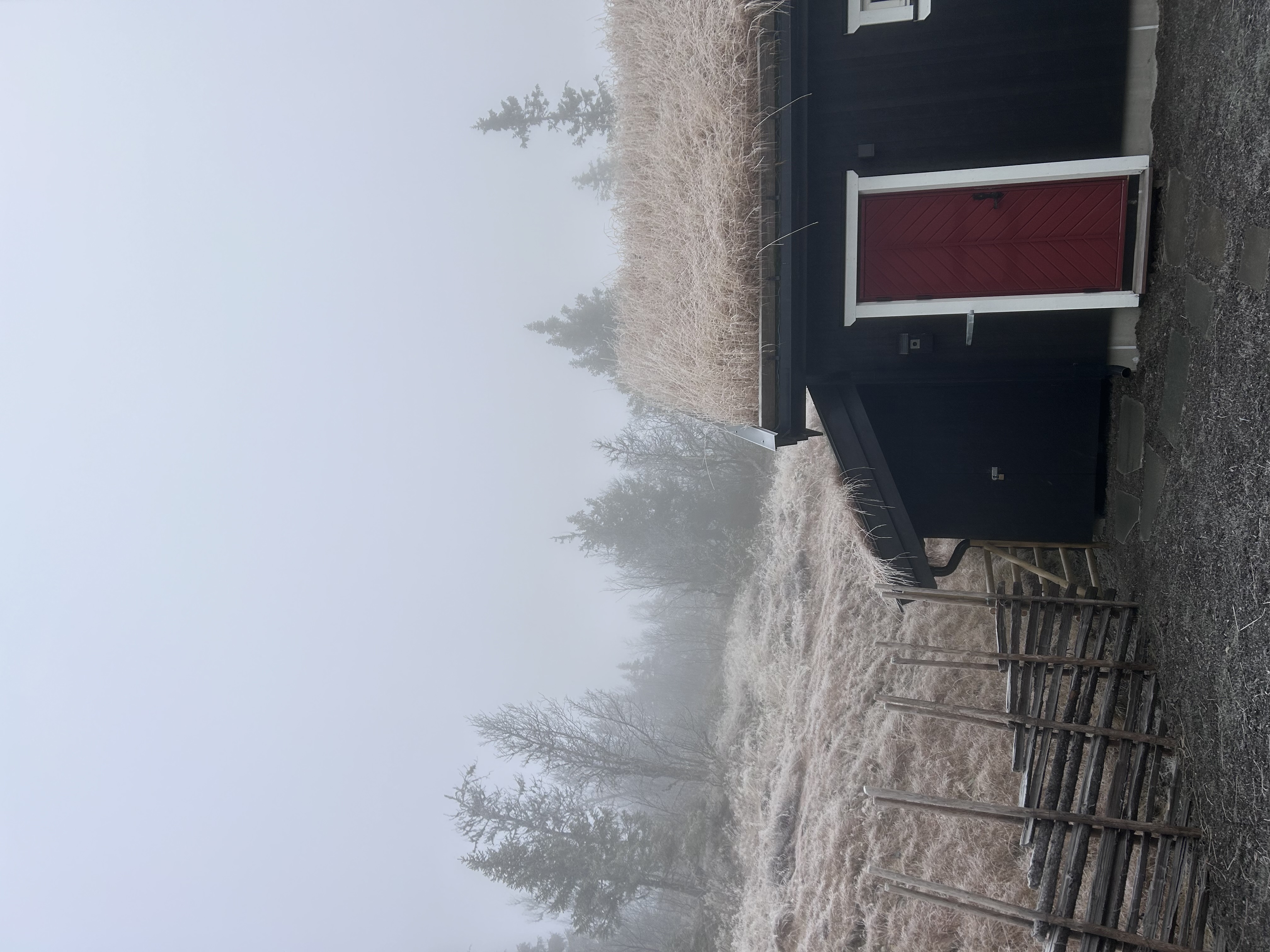 cabin in the morning 